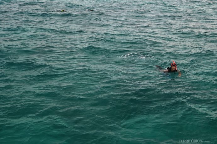 O que fazer em Key West: Snorkel