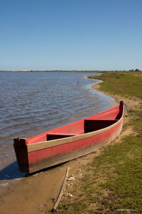 Cenário na beira da Lagoa do Peixe Cenário na beira da Lagoa do Peixe