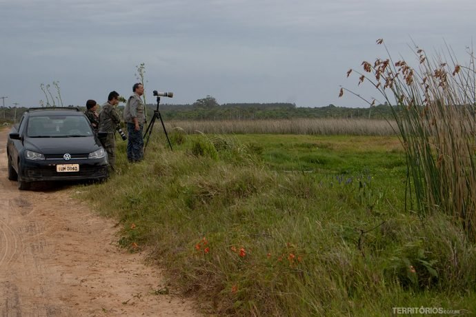 Birdwatchers profissionais na Trilha das Dunas
