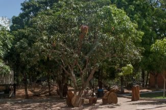 Áreas de descanso na entrada do complexo Áreas de descanso na entrada do complexo