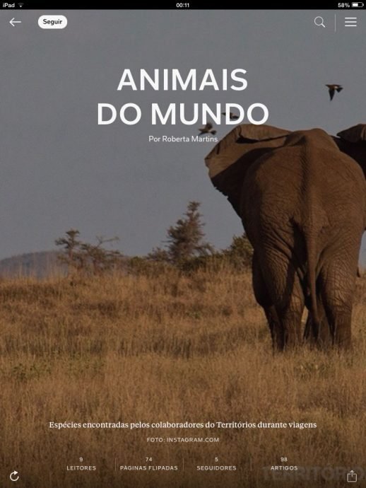 Posts, fotos e vídeos dos animais que cruzam o nosso caminho