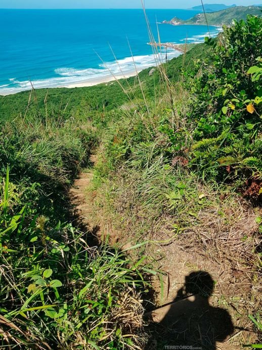 Trilha demarcada e limpa no caminho final até Galheta