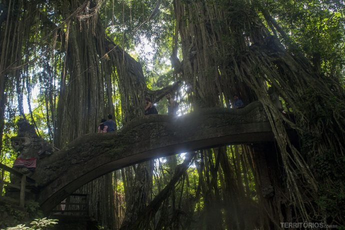 Ao lado da praça principal, há uma ponte de pedra arqueada que leva à estátua de Lord Ganesh com vista para uma pequena piscina onde os macacos se divertem mergulhando.