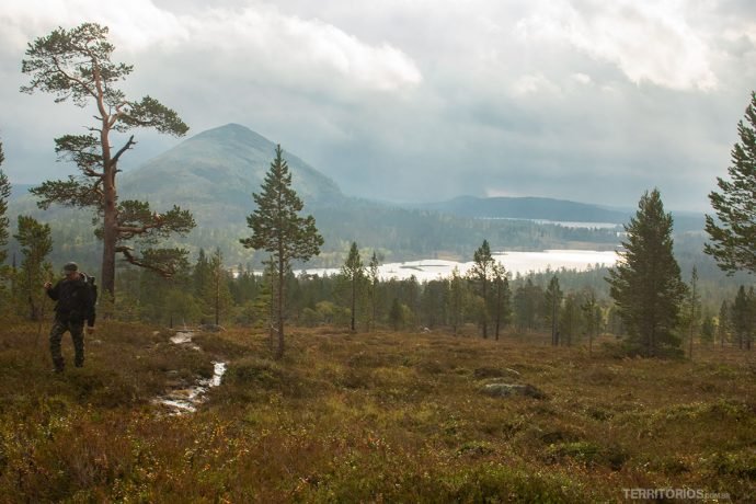 Paisagem em Dalarna