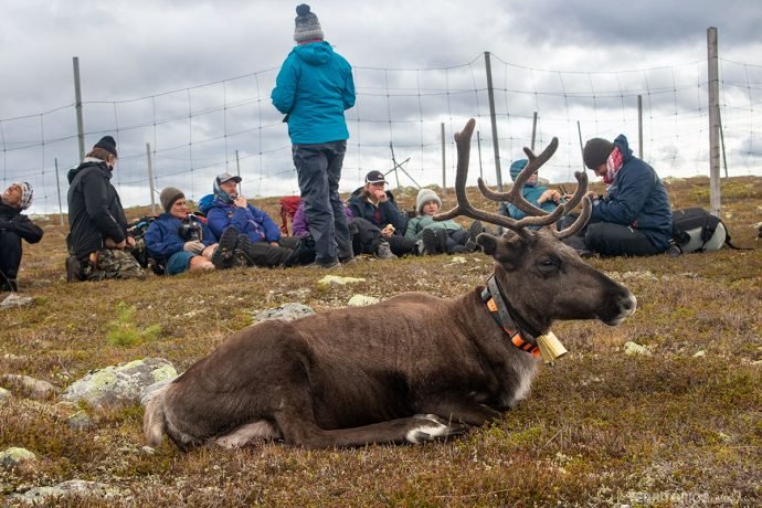 Pausa para o fika nas montanhas Idre, em Dalarna