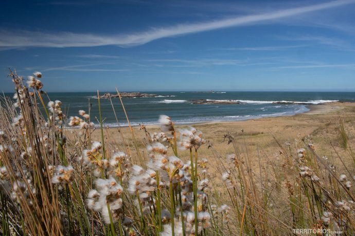 Vista para o mar e vegetação rasteira