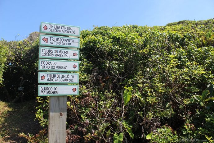 Trilhas na Ilha do Papagaio